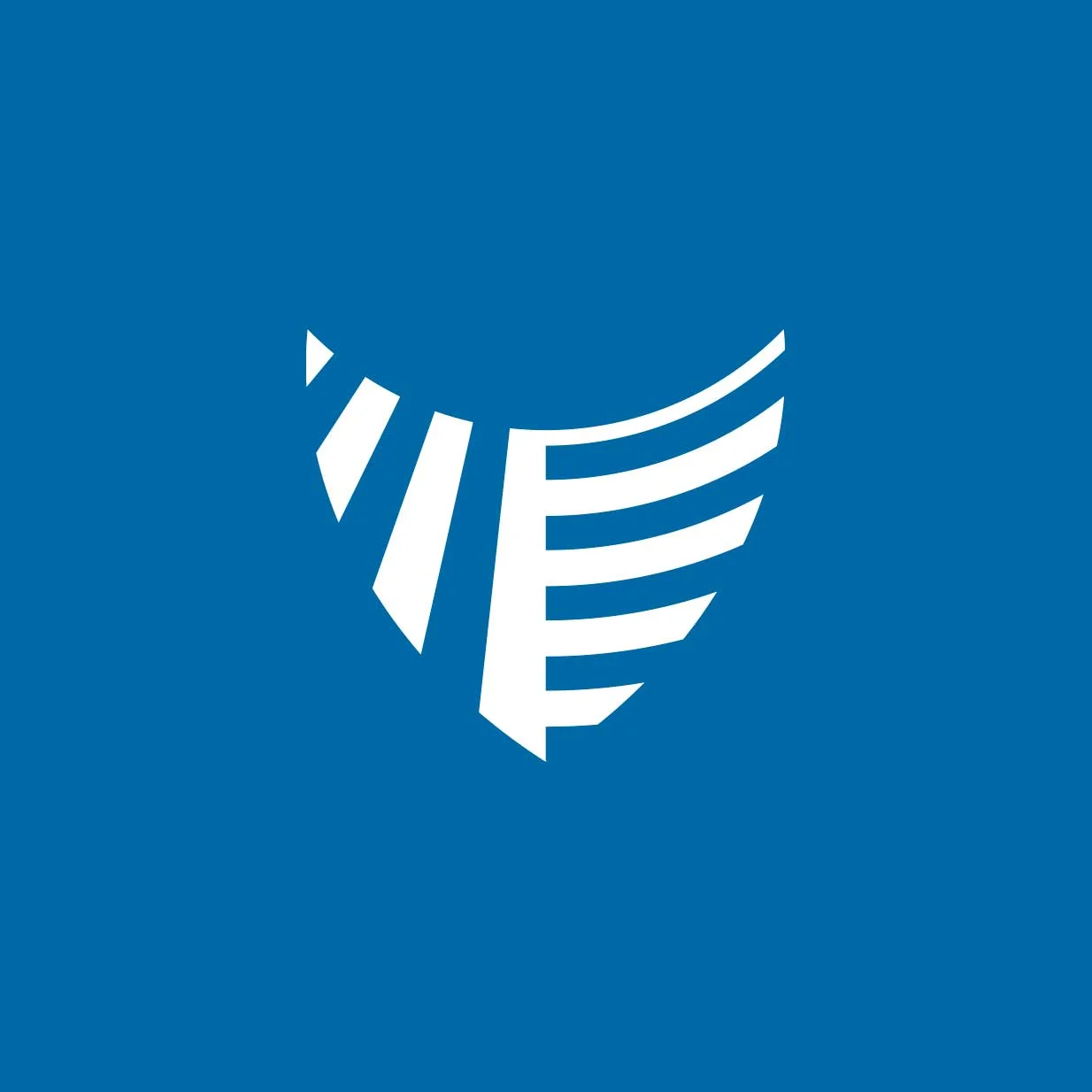 Dynamic V construction logo