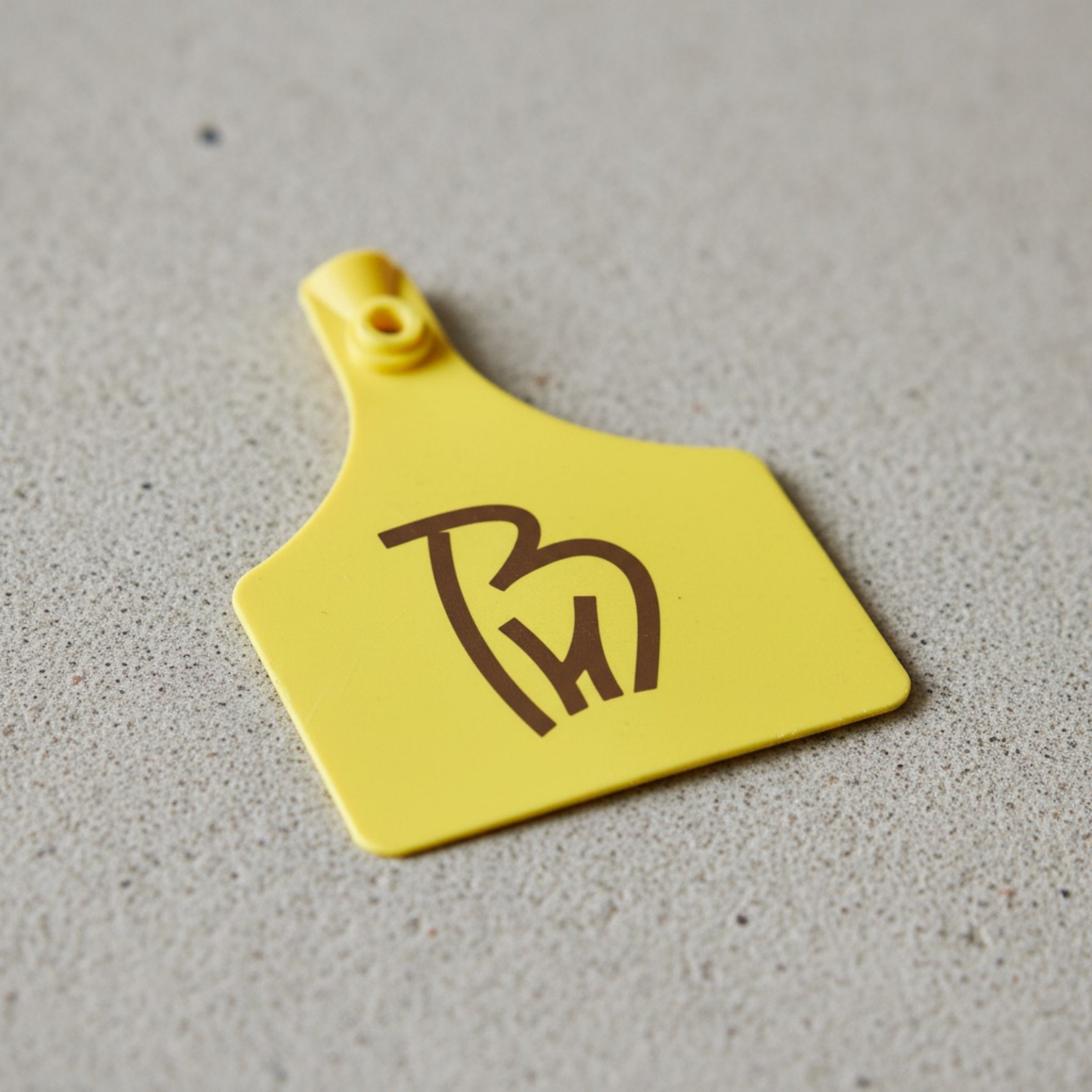 H Cattle Farm logo printed on a yellow cattle ear tag mockup with cork brown monogram mark